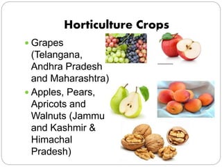 Horticulture Crops
 Grapes
(Telangana,
Andhra Pradesh
and Maharashtra)
 Apples, Pears,
Apricots and
Walnuts (Jammu
and K...