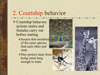 2. Courtship behavior
Courtship behavior:
actions males and
females carry out
before mating
Insures that members
of the same species
find each other and
mate
May protect male from
being eaten long
enough to mate
 