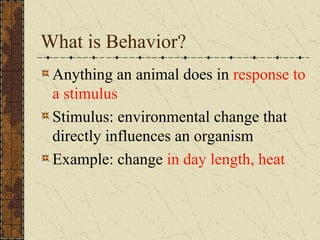What is Behavior?
Anything an animal does in response to
a stimulus
Stimulus: environmental change that
directly influences an organism
Example: change in day length, heat
 