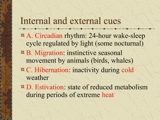 Internal and external cues
A. Circadian rhythm: 24-hour wake-sleep
cycle regulated by light (some nocturnal)
B. Migration: instinctive seasonal
movement by animals (birds, whales)
C. Hibernation: inactivity during cold
weather
D. Estivation: state of reduced metabolism
during periods of extreme heat
 