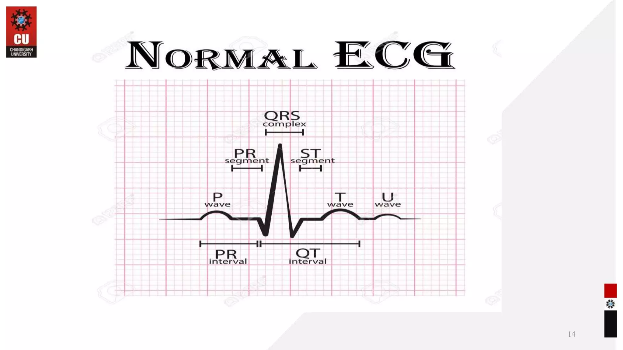 PPT 1 BIOLOGY EMG ECG.pptx