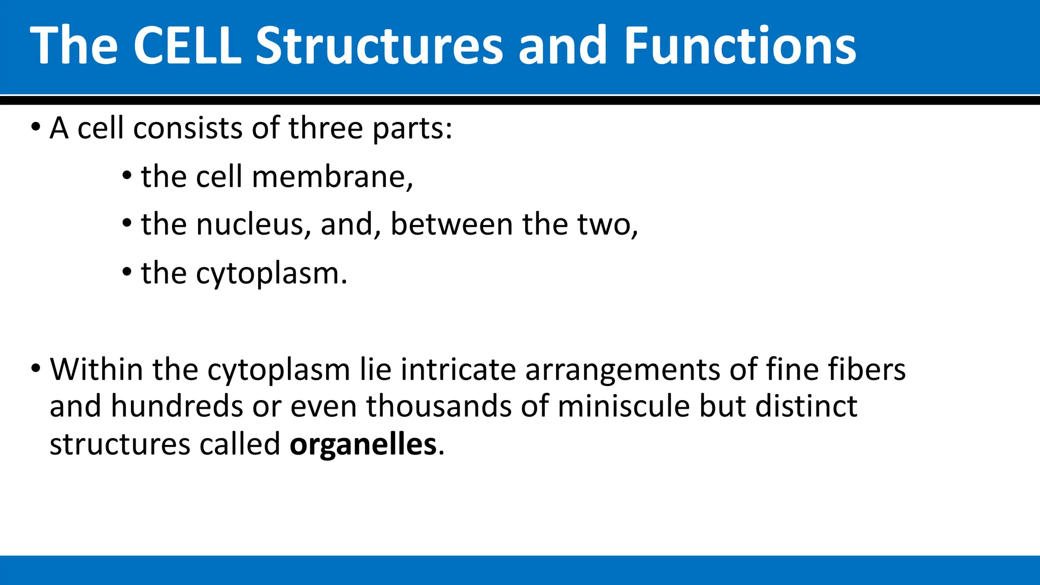 The CELL Structures and Functions
• A cell consists of three parts:
• the cell membrane,
• the nucleus, and, between the two,
• the cytoplasm.
• Within the cytoplasm lie intricate arrangements of fine fibers
and hundreds or even thousands of miniscule but distinct
structures called organelles.
 