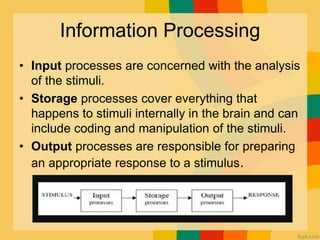 Cognition and mental processes | PDF