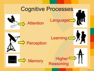 Cognition and mental processes | PDF