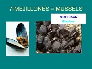 7-MEJILLONES = MUSSELS
               MOLLUSCS
                Bivalves
 