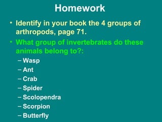 Homework
• Identify in your book the 4 groups of
  arthropods, page 71.
• What group of invertebrates do these
  animals belong to?:
  – Wasp
  – Ant
  – Crab
  – Spider
  – Scolopendra
  – Scorpion
  – Butterfly
 