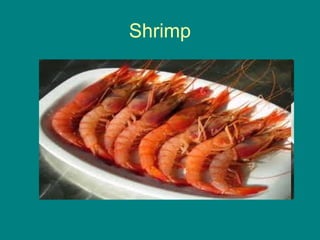 Shrimp
 