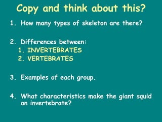 Copy and think about this?
1. How many types of skeleton are there?

2. Differences between:
  1. INVERTEBRATES
  2. VERTEBRATES

3. Examples of each group.

4. What characteristics make the giant squid
   an invertebrate?
 
