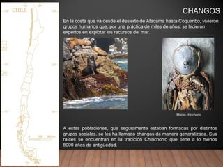 CHANGOS
En la costa que va desde el desierto de Atacama hasta Coquimbo, vivieron
grupos humanos que, por una práctica de miles de años, se hicieron
expertos en explotar los recursos del mar.
A estas poblaciones, que seguramente estaban formadas por distintos
grupos sociales, se les ha llamado changos de manera generalizada. Sus
raíces se encuentran en la tradición Chinchorro que tiene a lo menos
8000 años de antigüedad.
Momia chinchorro
 