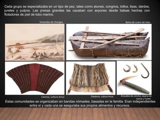 Camisa, cultura Arica
Viviendas de changos Balsa de cuero de lobo
Cada grupo se especializaba en un tipo de pez, tales como atunes, congrios, tollos, lisas, dardos,
jureles y pulpos. Las presas grandes las cazaban con arpones desde balsas hechas con
flotadores de piel de lobo marino.
Estas comunidades se organizaban en bandas nómades, basadas en la familia. Eran independientes
entre sí y cada una se aseguraba sus propios alimentos y recursos.
Anzuelos de concha, espina de
cactus y hueso
Diadema, cultura Arica
 