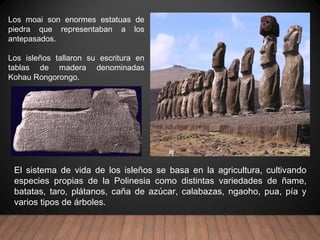 El sistema de vida de los isleños se basa en la agricultura, cultivando
especies propias de la Polinesia como distintas variedades de ñame,
batatas, taro, plátanos, caña de azúcar, calabazas, ngaoho, pua, pía y
varios tipos de árboles.
Los moai son enormes estatuas de
piedra que representaban a los
antepasados.
Los isleños tallaron su escritura en
tablas de madera denominadas
Kohau Rongorongo.
 