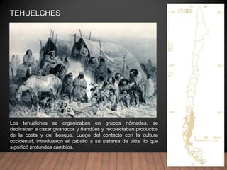 TEHUELCHES
Los tehuelches se organizaban en grupos nómades, se
dedicaban a cazar guanacos y ñandúes y recolectaban productos
de la costa y del bosque. Luego del contacto con la cultura
occidental, introdujeron el caballo a su sistema de vida, lo que
significó profundos cambios.
 
