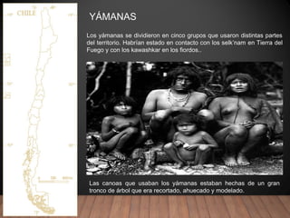 YÁMANAS
Las canoas que usaban los yámanas estaban hechas de un gran
tronco de árbol que era recortado, ahuecado y modelado.
Los yámanas se dividieron en cinco grupos que usaron distintas partes
del territorio. Habrían estado en contacto con los selk’nam en Tierra del
Fuego y con los kawashkar en los fiordos..
 