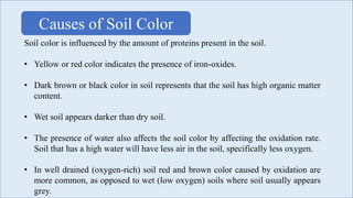 Soil color is influenced by the amount of proteins present in the soil.
• Yellow or red color indicates the presence of iron-oxides.
• Dark brown or black color in soil represents that the soil has high organic matter
content.
• Wet soil appears darker than dry soil.
• The presence of water also affects the soil color by affecting the oxidation rate.
Soil that has a high water will have less air in the soil, specifically less oxygen.
• In well drained (oxygen-rich) soil red and brown color caused by oxidation are
more common, as opposed to wet (low oxygen) soils where soil usually appears
grey.
Causes of Soil Color
 