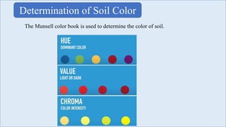 Determination of Soil Color
The Munsell color book is used to determine the color of soil.
 