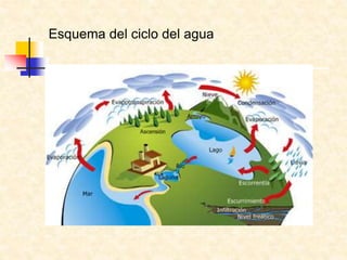 Esquema del ciclo del agua
 