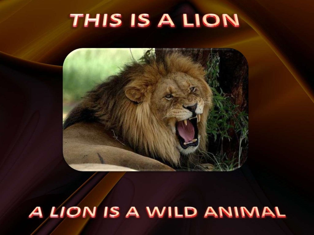 ppt-wild-animals-science-2-p