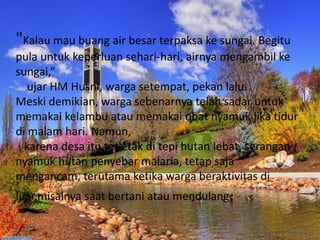 "Kalau mau buang air besar terpaksa ke sungai. Begitu
pula untuk keperluan sehari-hari, airnya mengambil ke
sungai,“
ujar HM Husni, warga setempat, pekan lalu.
Meski demikian, warga sebenarnya telah sadar untuk
memakai kelambu atau memakai obat nyamuk jika tidur
di malam hari. Namun,
karena desa itu terletak di tepi hutan lebat, serangan
nyamuk hutan penyebar malaria, tetap saja
mengancam, terutama ketika warga beraktivitas di
luar,misalnya saat bertani atau mendulang.

 
