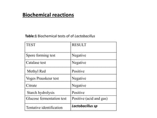 Biochemical reactions
Table:1 Biochemical tests of of Lactobacillus
TEST RESULT
Spore forming test Negative
Catalase test Negative
Methyl Red Positive
Voges Prauskeur test Negative
Citrate Negative
Starch hydrolysis Positive
Glucose fermentation test Positive (acid and gas)
Tentative identification Lactobacillus sp
 
