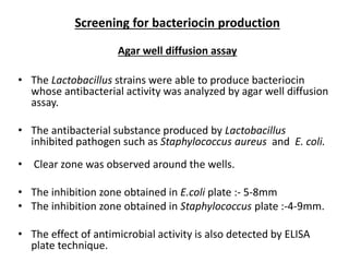 Screening for bacteriocin production
Agar well diffusion assay
• The Lactobacillus strains were able to produce bacteriocin
whose antibacterial activity was analyzed by agar well diffusion
assay.
• The antibacterial substance produced by Lactobacillus
inhibited pathogen such as Staphylococcus aureus and E. coli.
• Clear zone was observed around the wells.
• The inhibition zone obtained in E.coli plate :- 5-8mm
• The inhibition zone obtained in Staphylococcus plate :-4-9mm.
• The effect of antimicrobial activity is also detected by ELISA
plate technique.
 