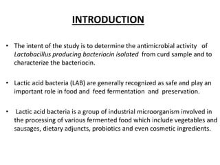 INTRODUCTION
• The intent of the study is to determine the antimicrobial activity of
Lactobacillus producing bacteriocin isolated from curd sample and to
characterize the bacteriocin.
• Lactic acid bacteria (LAB) are generally recognized as safe and play an
important role in food and feed fermentation and preservation.
• Lactic acid bacteria is a group of industrial microorganism involved in
the processing of various fermented food which include vegetables and
sausages, dietary adjuncts, probiotics and even cosmetic ingredients.
 