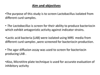 Aim and objectives
•The purpose of this study is to screen Lactobacillus isolated from
different curd samples.
• The Lactobacillus is screen for their ability to produce bacteriocin
which exhibit antagonistic activity against indicator strains.
•Lactic acid bacteria (LAB) were isolated using MRS media from
different curd samples ,were screened for bacteriocin production.
• The agar diffusion assay was used to screen for bacteriocin
producing LAB .
•Also, Microtitre plate technique is used for accurate evaluation of
inhibitory activity
 