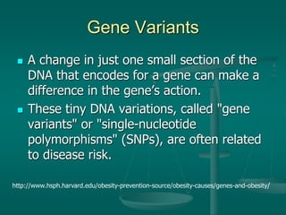 Gene Variants
 A change in just one small section of the
DNA that encodes for a gene can make a
difference in the gene’s action.
 These tiny DNA variations, called "gene
variants" or "single-nucleotide
polymorphisms" (SNPs), are often related
to disease risk.
http://www.hsph.harvard.edu/obesity-prevention-source/obesity-causes/genes-and-obesity/
 