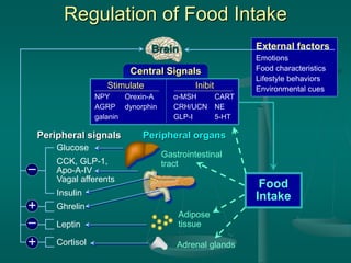 Regulation of Food Intake
Brain
NPY
AGRP
galanin
Orexin-A
dynorphin
Stimulate
α-MSH
CRH/UCN
GLP-I
CART
NE
5-HT
Inibit
Central Signals
Glucose
CCK, GLP-1,
Apo-A-IV
Vagal afferents
Insulin
Ghrelin
Leptin
Cortisol
Peripheral signals Peripheral organs
+


+
Gastrointestinal
tract
Adipose
tissue
Food
Intake
Adrenal glands
External factors
Emotions
Food characteristics
Lifestyle behaviors
Environmental cues
 