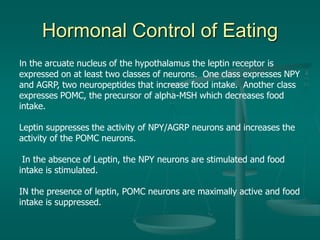 Hormonal Control of Eating
In the arcuate nucleus of the hypothalamus the leptin receptor is
expressed on at least two classes of neurons. One class expresses NPY
and AGRP, two neuropeptides that increase food intake. Another class
expresses POMC, the precursor of alpha-MSH which decreases food
intake.
Leptin suppresses the activity of NPY/AGRP neurons and increases the
activity of the POMC neurons.
In the absence of Leptin, the NPY neurons are stimulated and food
intake is stimulated.
IN the presence of leptin, POMC neurons are maximally active and food
intake is suppressed.
 