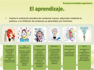 • Implica la realización duradera de conductas nuevas, adquiridas mediante la
práctica, o la inhibición de conductas ya aprendidas y/o instintivas.
El aprendizaje.
Receptivo:
En este tipo de
aprendizaje el
sujeto sólo
necesita
comprender el
contenido para
poder
reproducirlo, pero
no descubre nada.
Por
descubrimiento:
El sujeto no recibe
los contenidos de
forma pasiva;
descubre los
conceptos y sus
relaciones y los
reordena para
adaptarlos a su
esquema
cognitivo.
Repetitivo:
se produce cuando
el alumno
memoriza
contenidos sin
comprenderlos o
relacionarlos con
sus conocimientos
previos, no
encuentra
significado a los
contenidos
estudiados.
Significativo:
Es el aprendizaje
en el cual el sujeto
relaciona sus
conocimientos
previos con los
nuevos dotándolos
así de coherencia
respecto a sus
estructuras
cognitivas.
Observacional:
Se da al observar
el
comportamiento
de otra persona,
llamada modelo.
Latente:
Se adquiere un
nuevo
comportamiento,
pero no se
demuestra hasta
que se ofrece
algún incentivo
para manifestarlo.
 