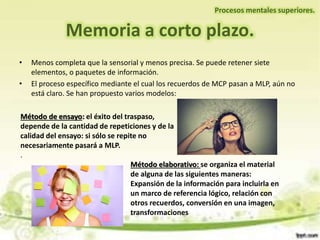 Memoria a corto plazo.
Procesos mentales superiores.
• Menos completa que la sensorial y menos precisa. Se puede retener siete
elementos, o paquetes de información.
• El proceso específico mediante el cual los recuerdos de MCP pasan a MLP, aún no
está claro. Se han propuesto varios modelos:
Método de ensayo: el éxito del traspaso,
depende de la cantidad de repeticiones y de la
calidad del ensayo: si sólo se repite no
necesariamente pasará a MLP.
.
Método elaborativo: se organiza el material
de alguna de las siguientes maneras:
Expansión de la información para incluirla en
un marco de referencia lógico, relación con
otros recuerdos, conversión en una imagen,
transformaciones
 