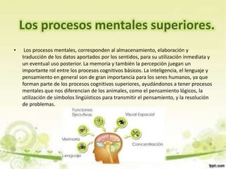 • Los procesos mentales, corresponden al almacenamiento, elaboración y
traducción de los datos aportados por los sentidos, para su utilización inmediata y
un eventual uso posterior. La memoria y también la percepción juegan un
importante rol entre los procesos cognitivos básicos. La inteligencia, el lenguaje y
pensamiento en general son de gran importancia para los seres humanos, ya que
forman parte de los procesos cognitivos superiores, ayudándonos a tener procesos
mentales que nos diferencian de los animales, como el pensamiento lógicos, la
utilización de símbolos lingüísticos para transmitir el pensamiento, y la resolución
de problemas.
Los procesos mentales superiores.
 