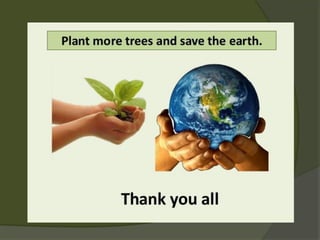 Ecology and Environment- A Comprehensive Relationship