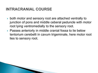 Sensorial Roots seminar on cranial nerve | PPTX