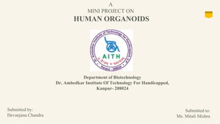 A
MINI PROJECT ON
HUMAN ORGANOIDS
Department of Biotechnology
Dr, Ambedkar Institute Of Technology For Handicapped,
Kanpur- 208024
Submitted by:
Devanjana Chandra
Submitted to:
Ms. Mitali Mishra
 