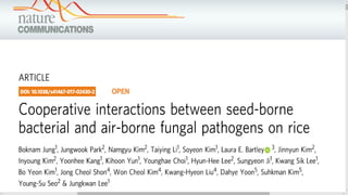  Bacterial-fungal interactions are widely found in distinct environments and
contribute to ecosystem processes. Previous ...
