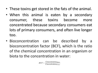 • These toxins get stored in the fats of the animal.
• When this animal is eaten by a secondary
consumer, these toxins become more
concentrated because secondary consumers eat
lots of primary consumers, and often live longer
too.
• Bioconcentration can be described by a
bioconcentration factor (BCF), which is the ratio
of the chemical concentration in an organism or
biota to the concentration in water:
 