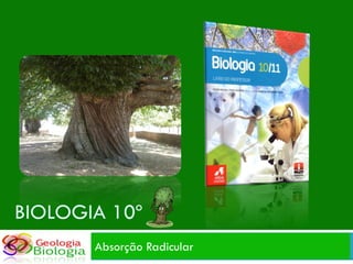 BIOLOGIA 10º
       Absorção Radicular
 
