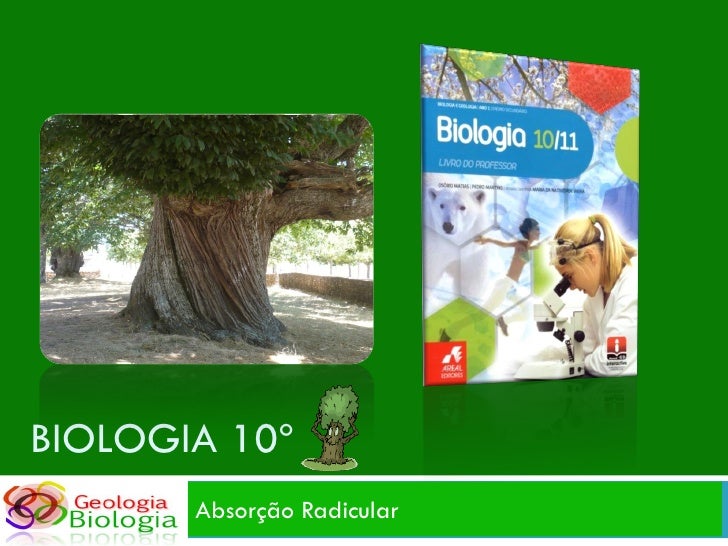 BIOLOGIA 10º
       Absorção Radicular
 