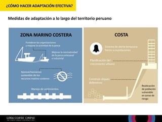 Medidas de adaptación a lo largo del territorio peruano
¿CÓMO HACER ADAPTACIÓN EFECTIVA?
 
