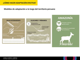 Medidas de adaptación a lo largo del territorio peruano
¿CÓMO HACER ADAPTACIÓN EFECTIVA?
 