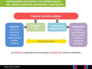 Cambio climático global
Mitigación
reduce las
emisiones,
reduce la
magnitud del
cambio
climático
Emisiones
GEI
Impactos del
cambio climático
Adaptación
reduce la
vulnerabilidad
a los cambios
climáticos
reduce las
pérdidas
Se complementan
La Mitigación pretende curar las causas, la Adaptación aliviar los síntomas…
ENFRENTANDO LAS CAUSAS Y LAS CONSECUENCIAS
DEL CAMBIO CLIMÁTICO: MITIGACIÓN Y ADAPTACIÓN
 