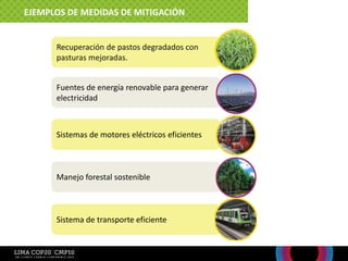 EJEMPLOS DE MEDIDAS DE MITIGACIÓN
Recuperación de pastos degradados con
pasturas mejoradas.
Sistema de transporte eficiente
Fuentes de energía renovable para generar
electricidad
Manejo forestal sostenible
Sistemas de motores eléctricos eficientes
 