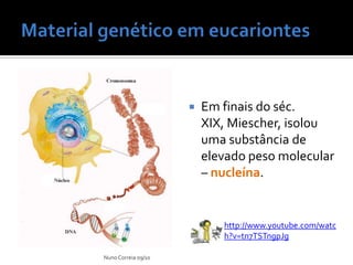 Material genético em eucariontesEm finais do séc. XIX, Miescher, isolou uma substância de elevado peso molecular – nucleína.Nuno Correia 09/10http://www.youtube.com/watch?v=tn7TSTngpJg