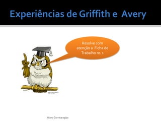 Experiências deGriffith e  AveryNuno Correia 09/10Resolve com atenção a  Ficha de Trabalho nr. 1