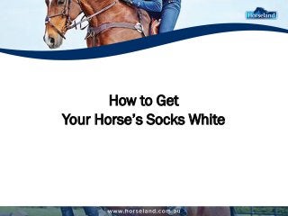 How to Get 
Your Horse’s Socks White 
 