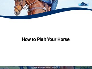 How to Plait Your Horse
 