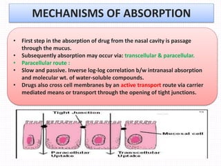 noval nasal drug deliveryem system | PPTX