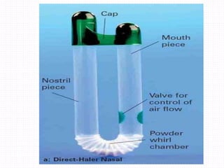 noval nasal drug deliveryem system | PPTX