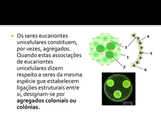    Os seres eucariontes
    unicelulares constituem,
    por vezes, agregados.
    Quando estas associações
    de eucariontes
    unicelulares dizem
    respeito a seres da mesma
    espécie gue estabelecem
    ligações estruturais entre
    si, designam-se por
    agregados coloniais ou
    colónias.
 